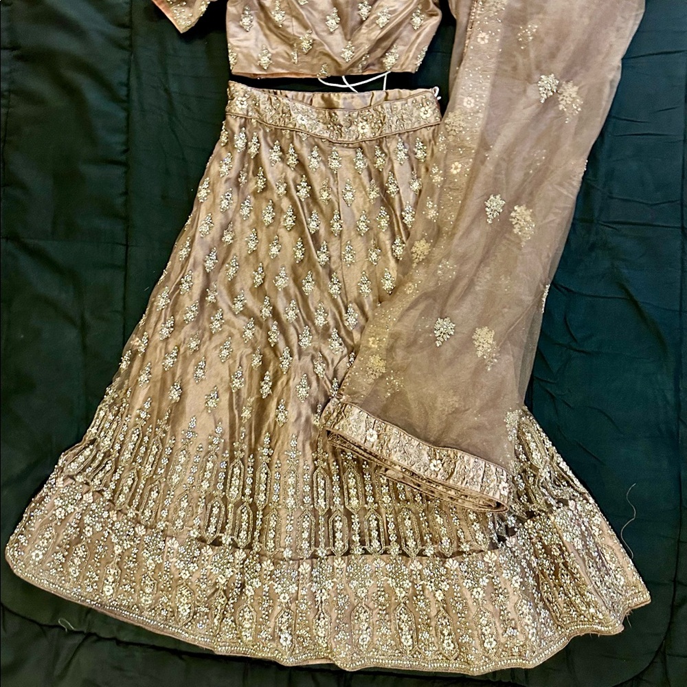 Indian Ghagra/Lehenga Dress perfect for weddings!
